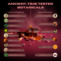 CravedThis ancient botanical ingredients — his and hers blends including maca, panax ginseng, tribulus and l-arginine