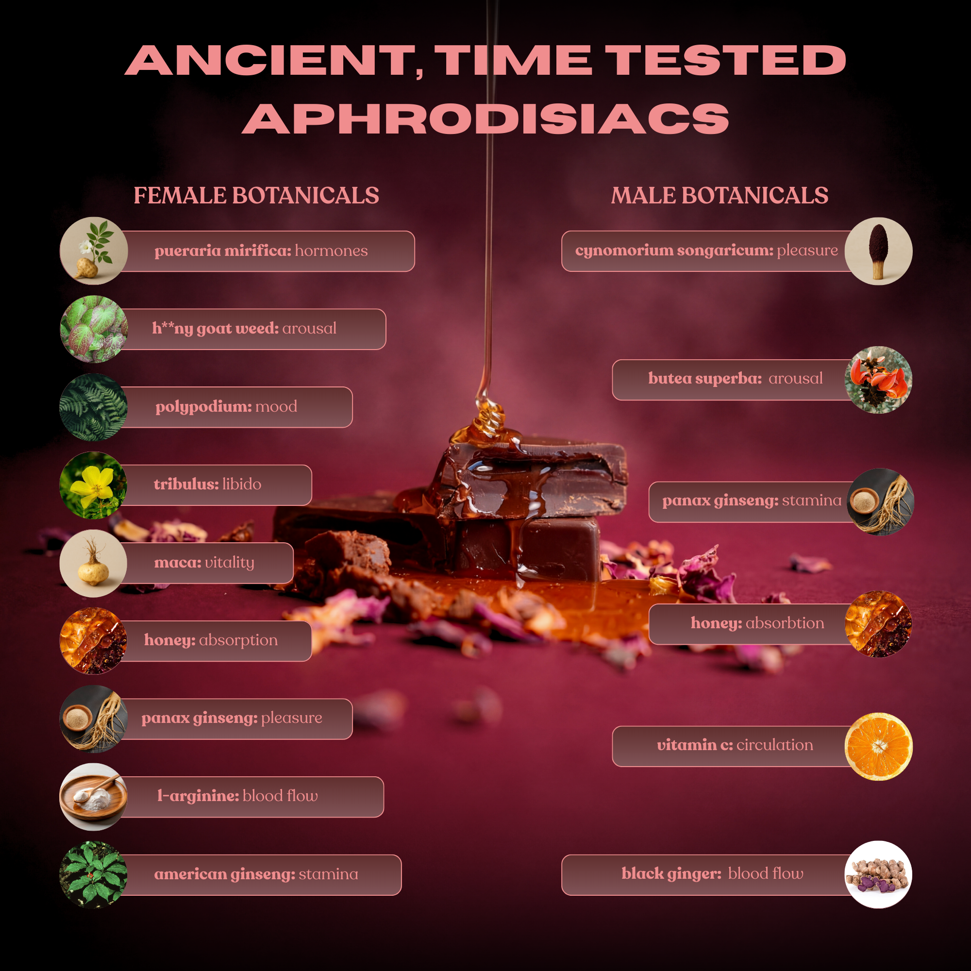 CravedThis ancient botanical ingredients — male and female aphrodisiacs including maca, panax ginseng, tribulus, and l-arginine for intimacy chocolate