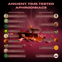 CravedThis ancient botanical ingredients — male and female aphrodisiacs including maca, panax ginseng, tribulus, and l-arginine for intimacy chocolate